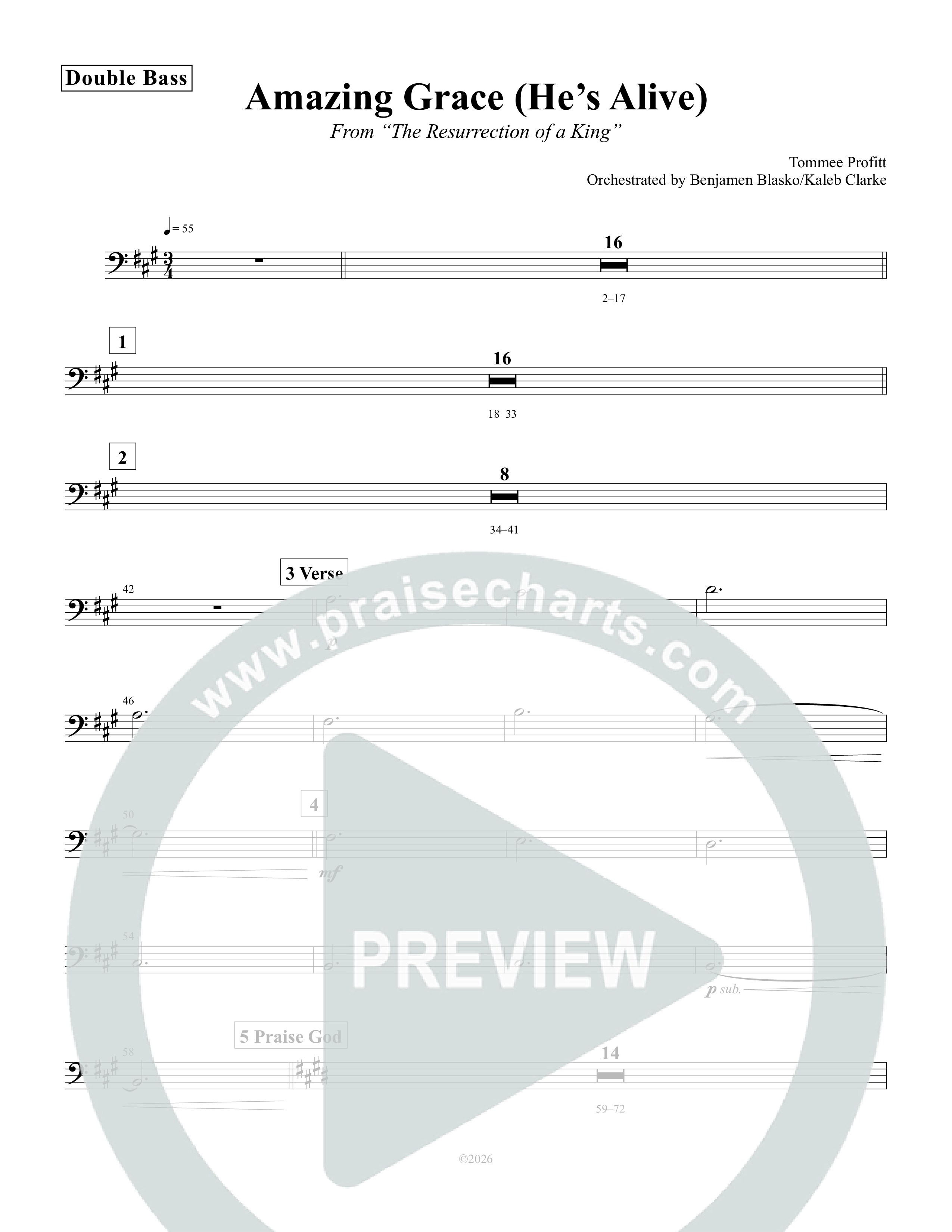 Amazing Grace (He's Alive) Double Bass (Tommee Profitt / Stanaj)