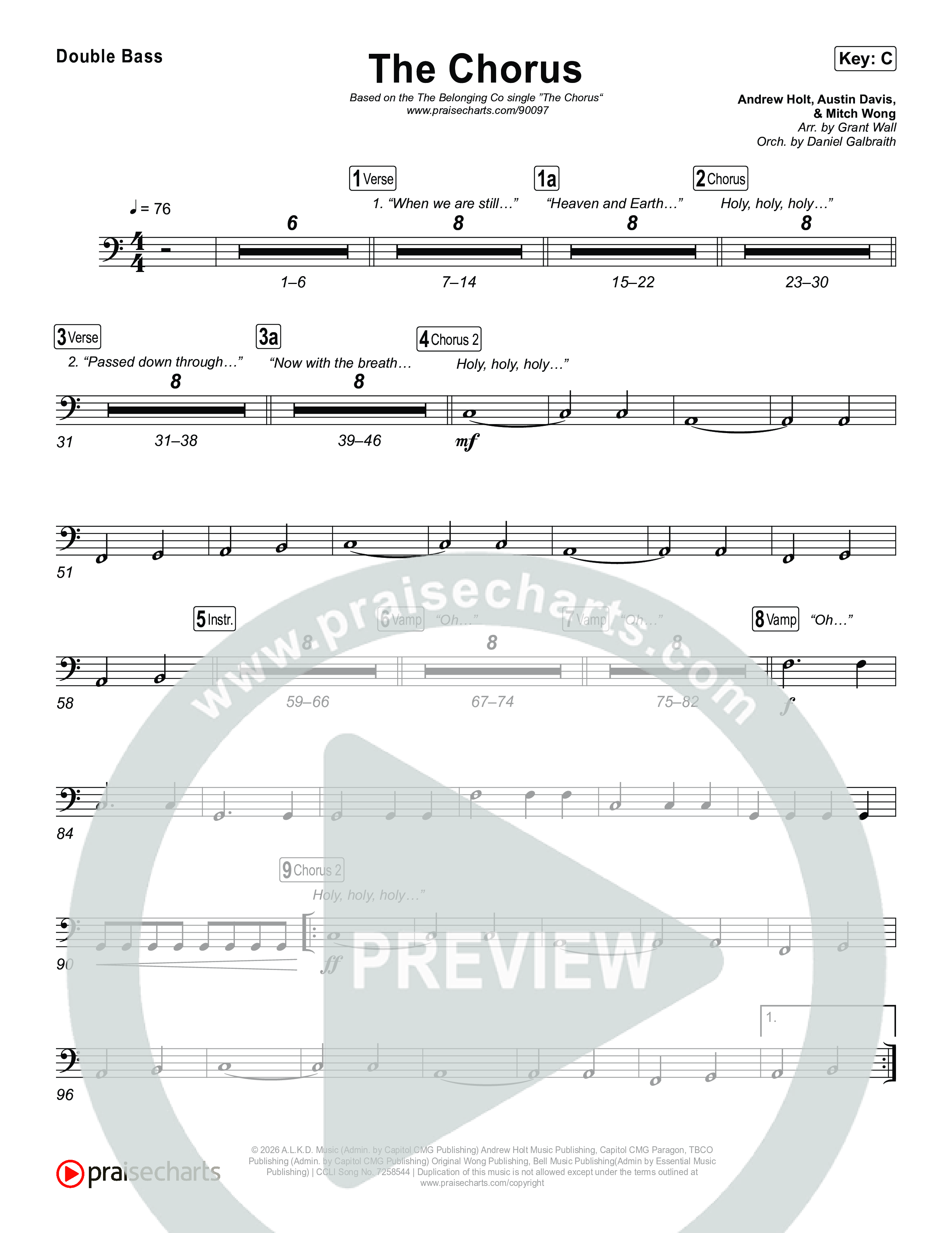 The Chorus String Bass (The Belonging Co)