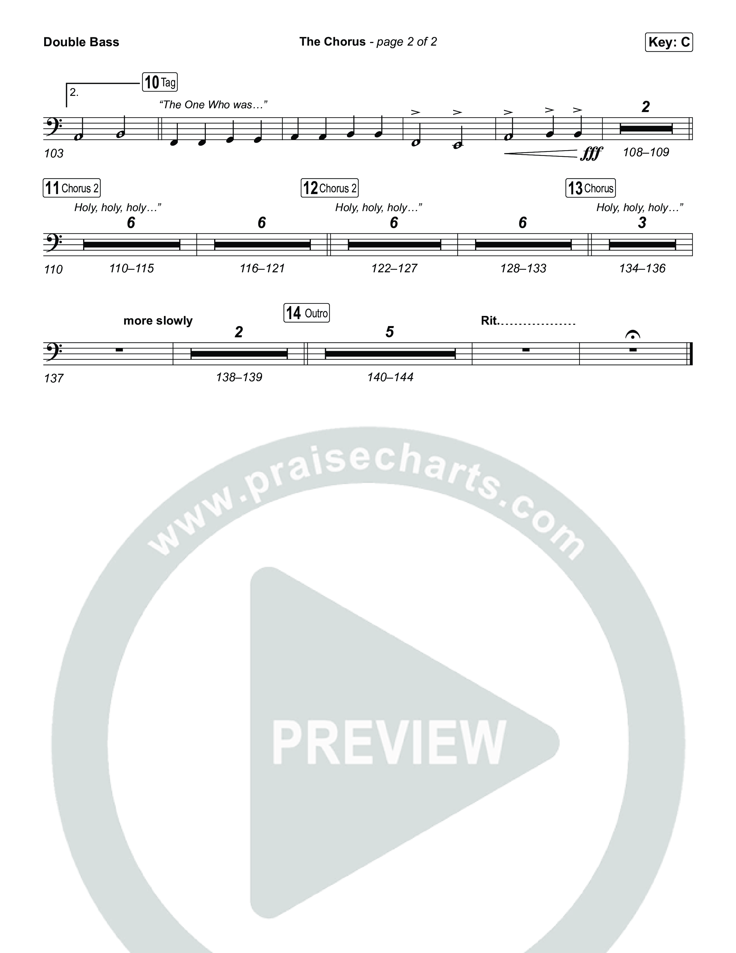 The Chorus String Bass (The Belonging Co)