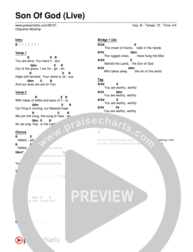 Son Of God (Live) Chords & Lyrics (Citipointe Worship)
