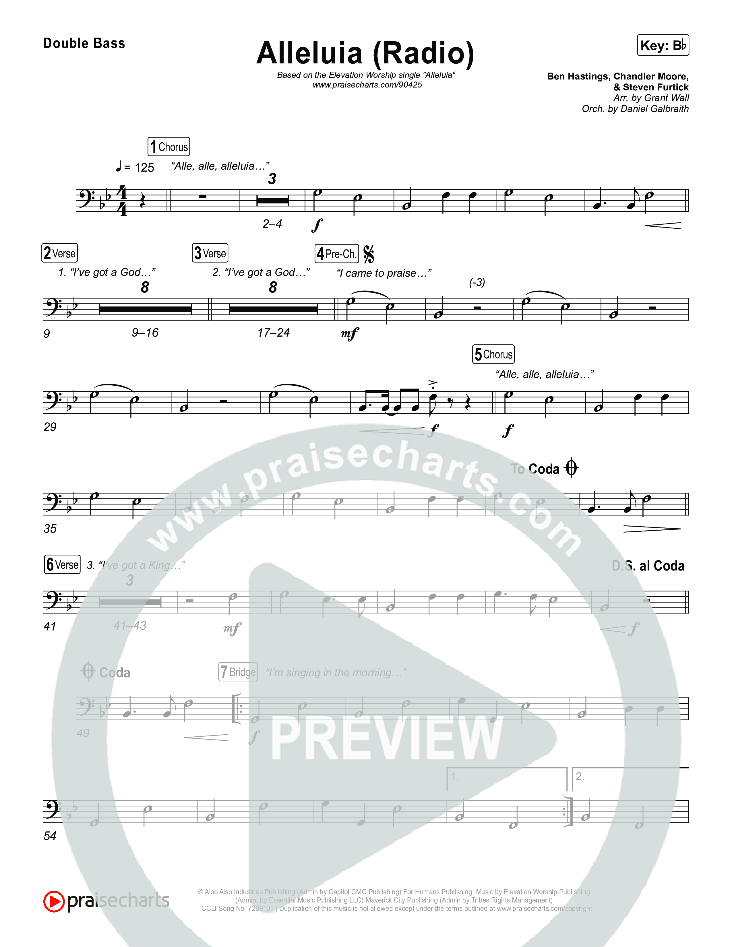 Alleluia (Radio) String Bass (Elevation Worship)