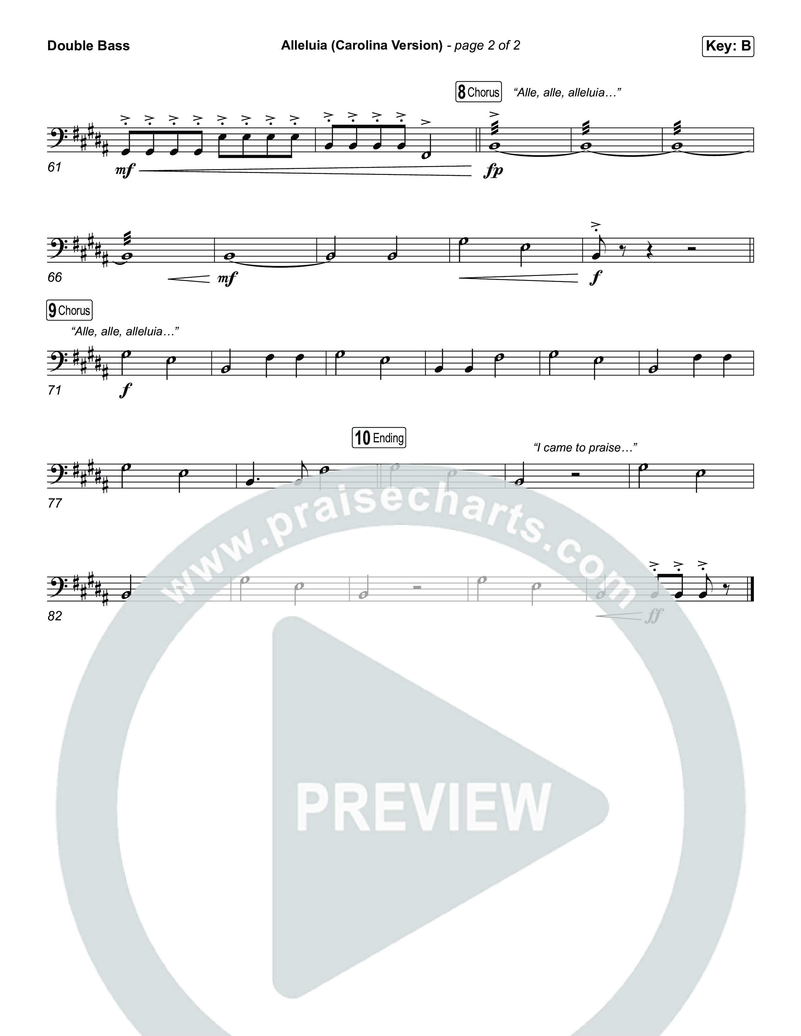 Alleluia (Carolina Version) String Bass (Elevation Worship)