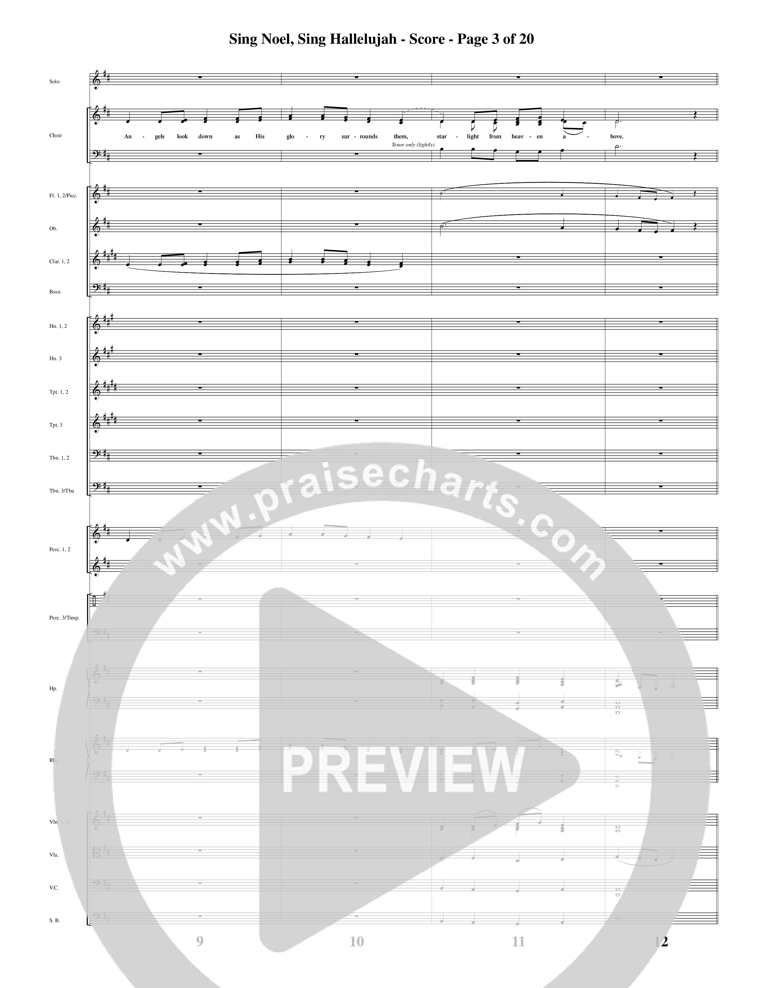 A Merry Clydesdale Christmas (12 Song Choral Collection) Song 10 (Orchestration) (Arr. David Clydesdale)