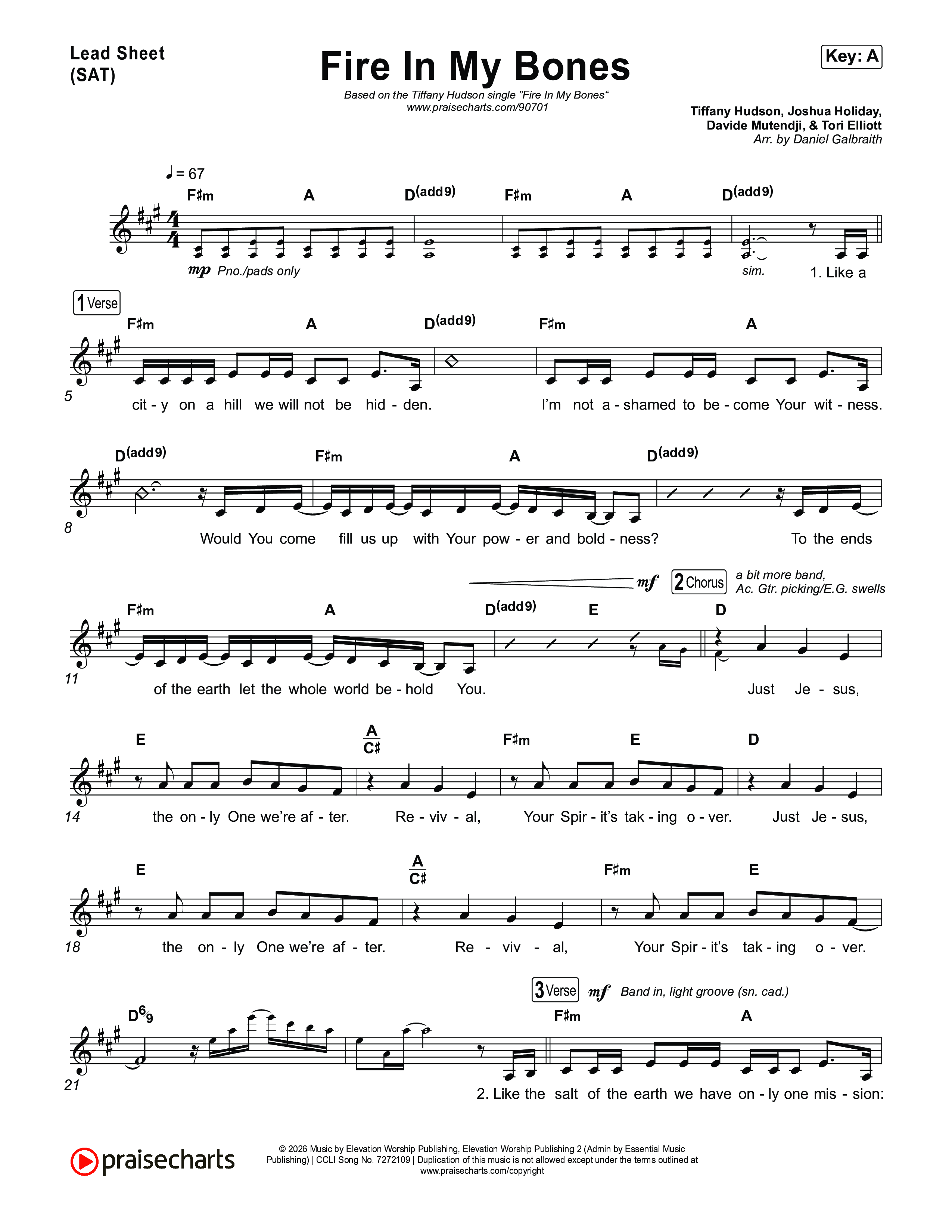 Fire In My Bones Lead Sheet (SAT) (Tiffany Hudson)