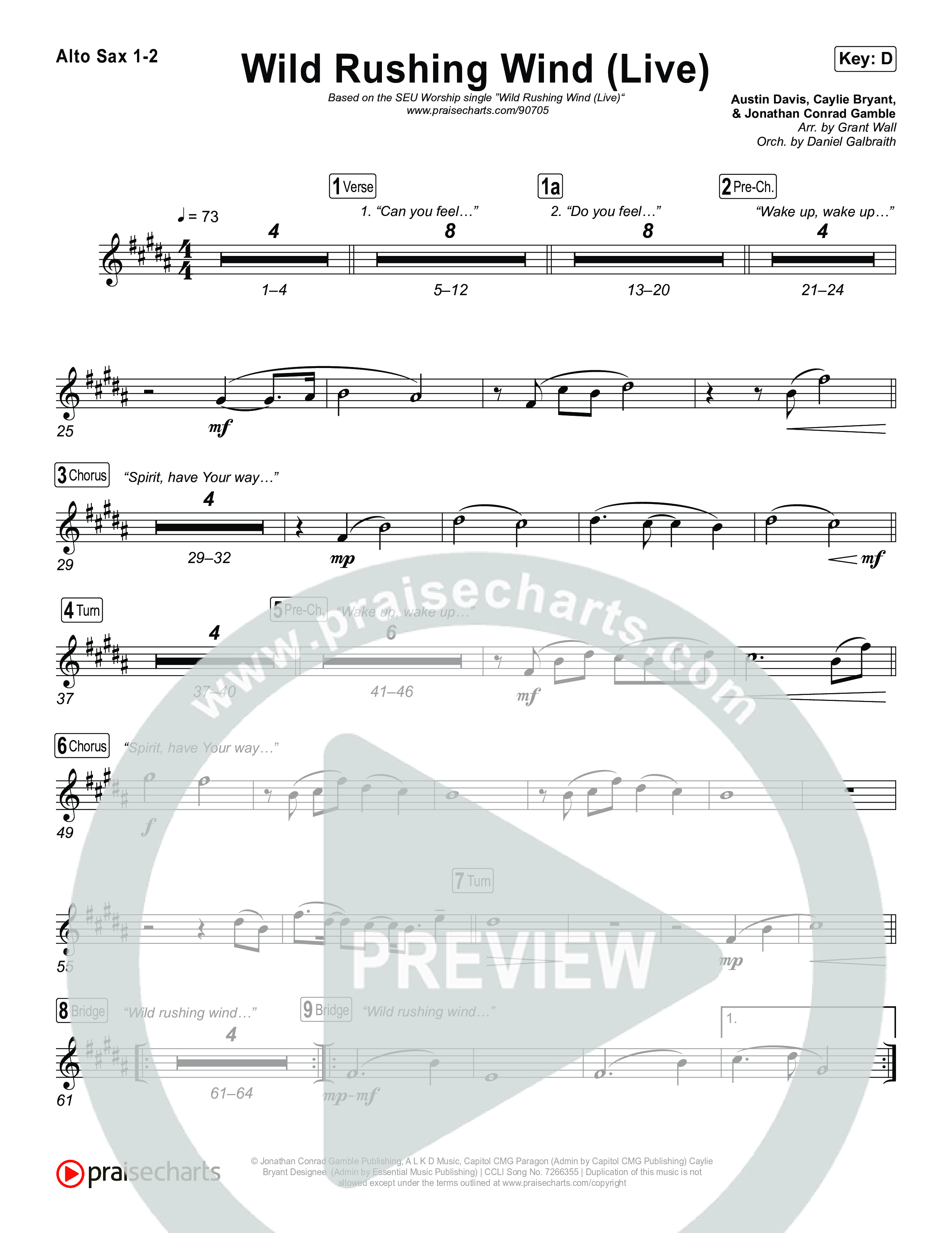 Wild Rushing Wind (Live) Sax Pack (SEU Worship)