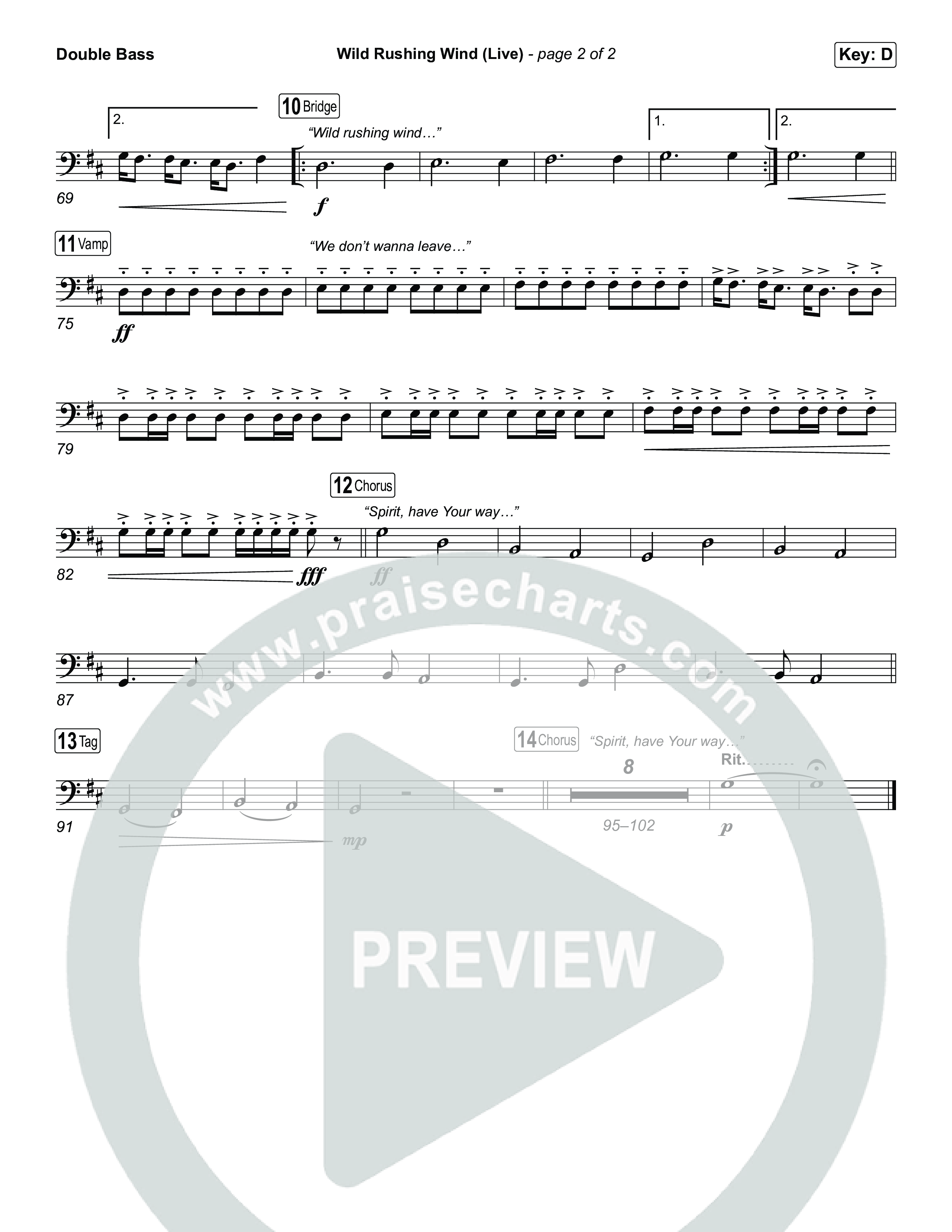 Wild Rushing Wind (Live) String Bass (SEU Worship)