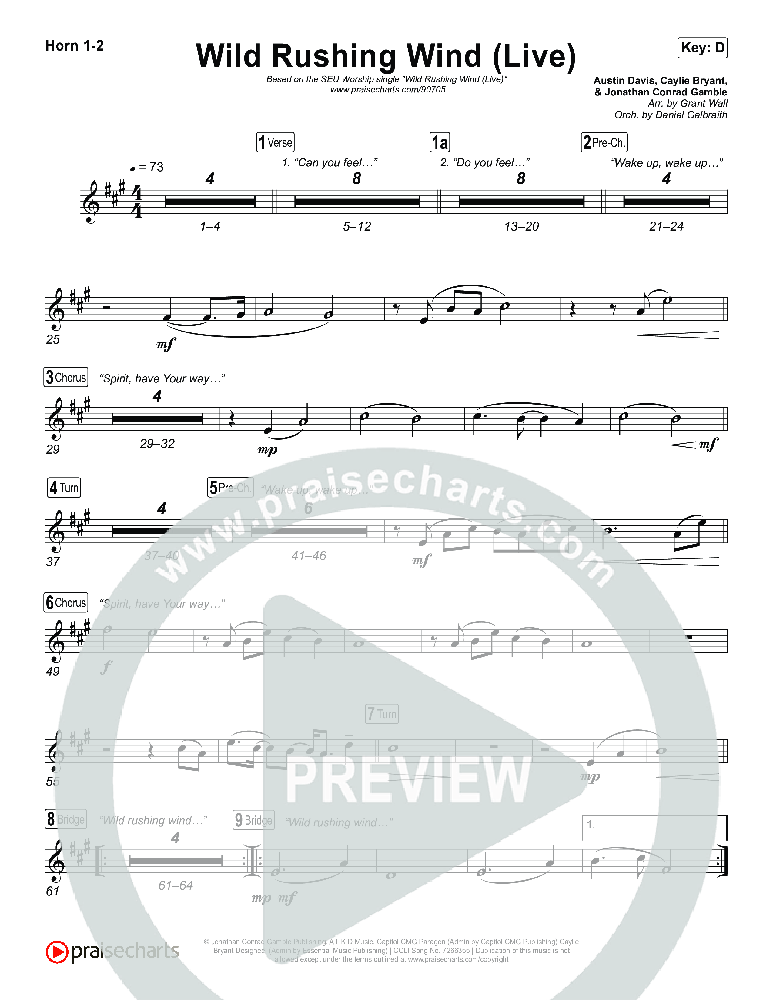 Wild Rushing Wind (Live) Brass Pack (SEU Worship)