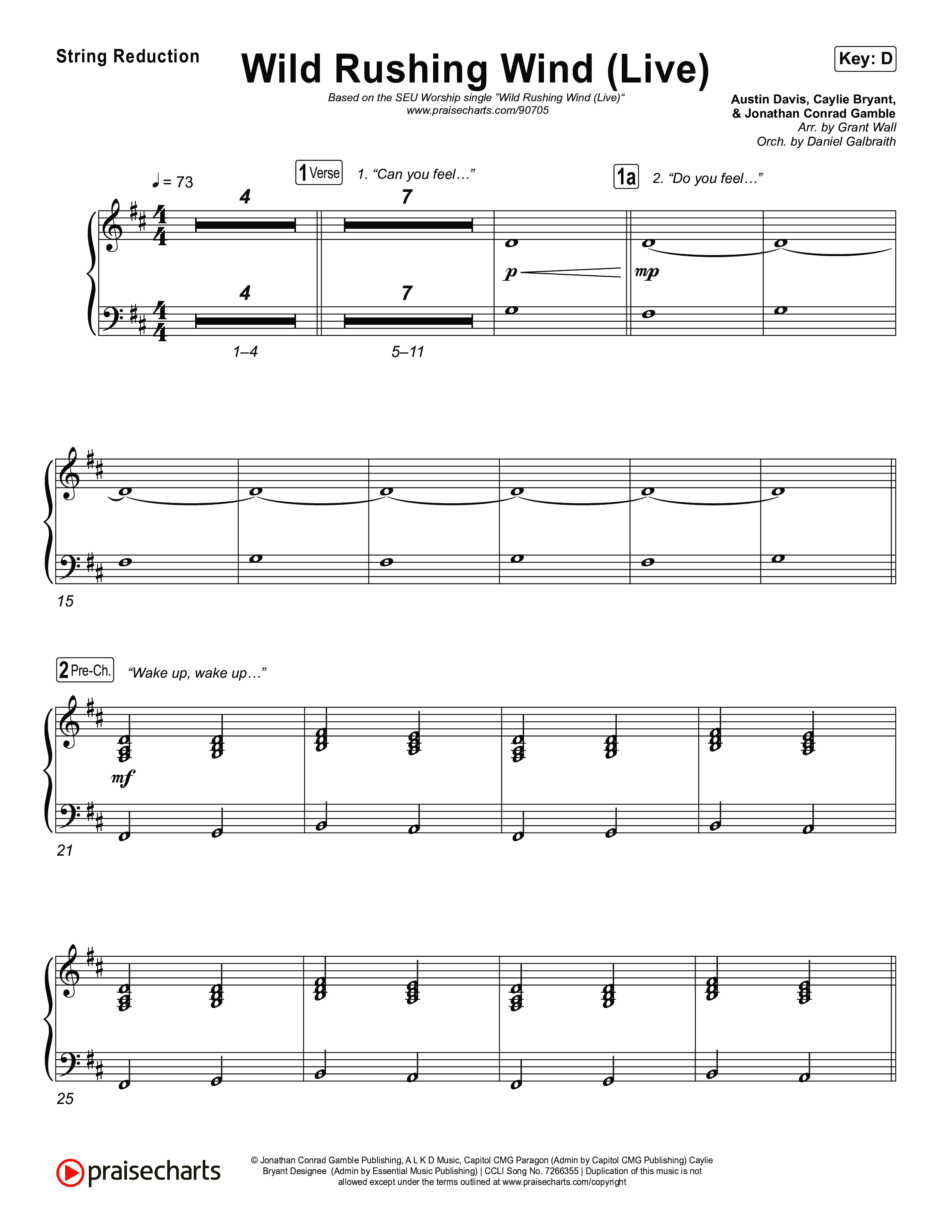 Wild Rushing Wind (Live) String Reduction (SEU Worship)