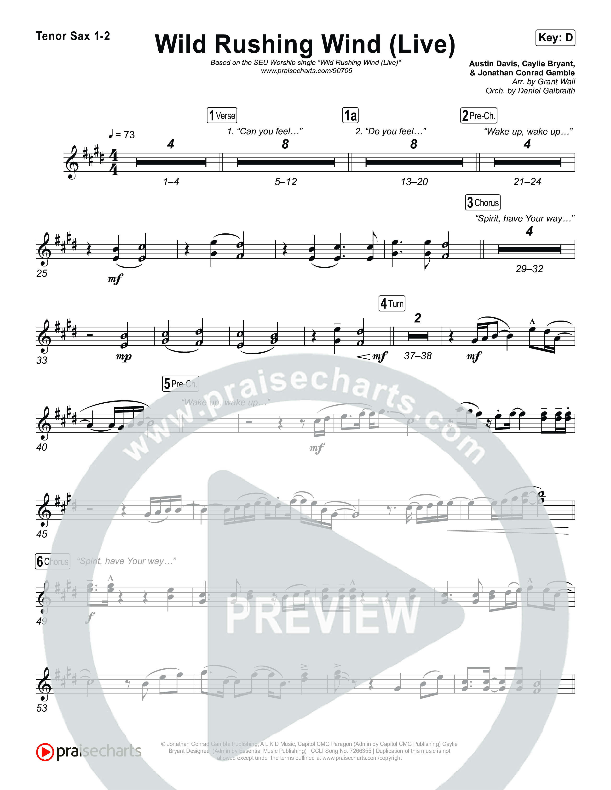 Wild Rushing Wind (Live) Sax Pack (SEU Worship)