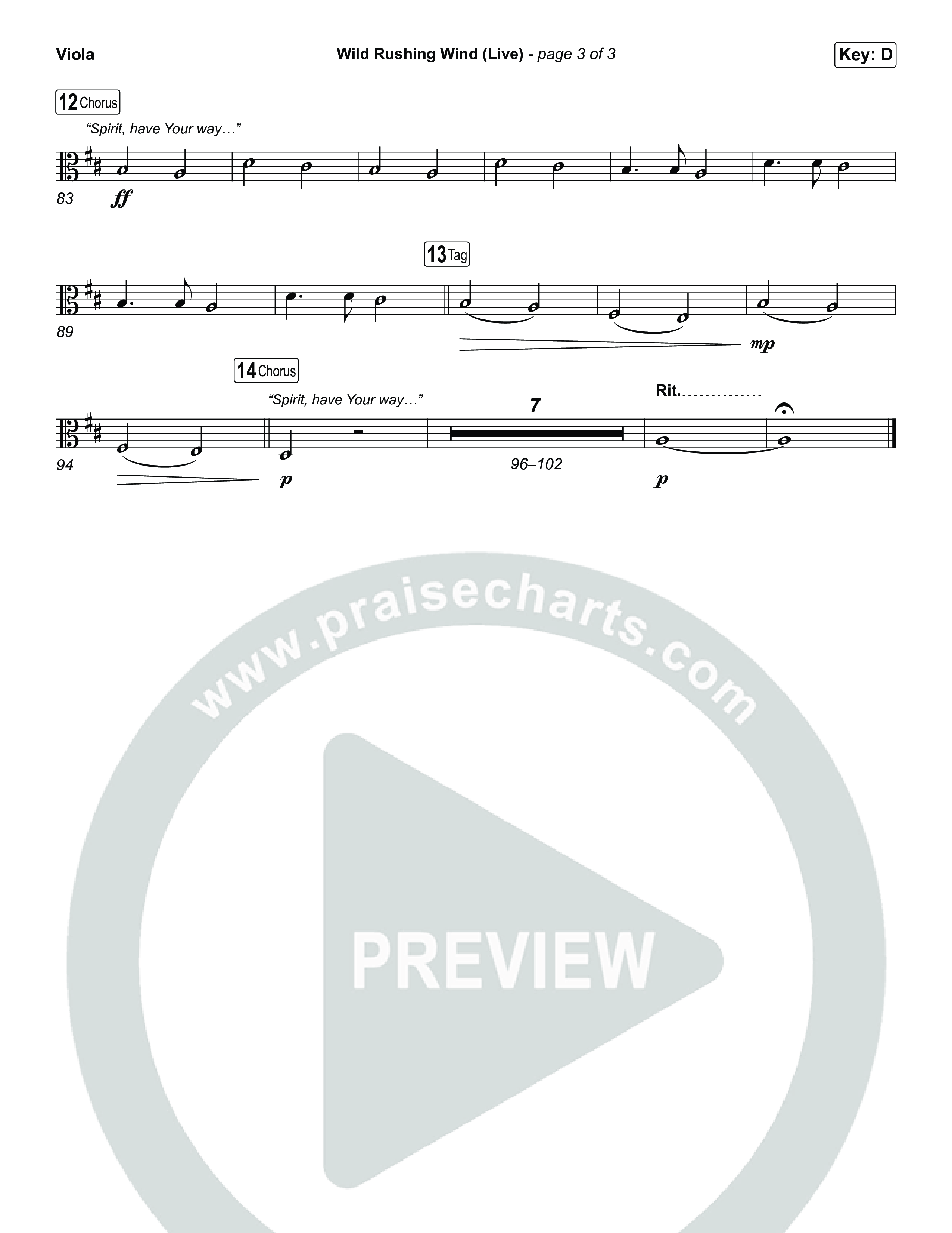 Wild Rushing Wind (Live) Viola (SEU Worship)
