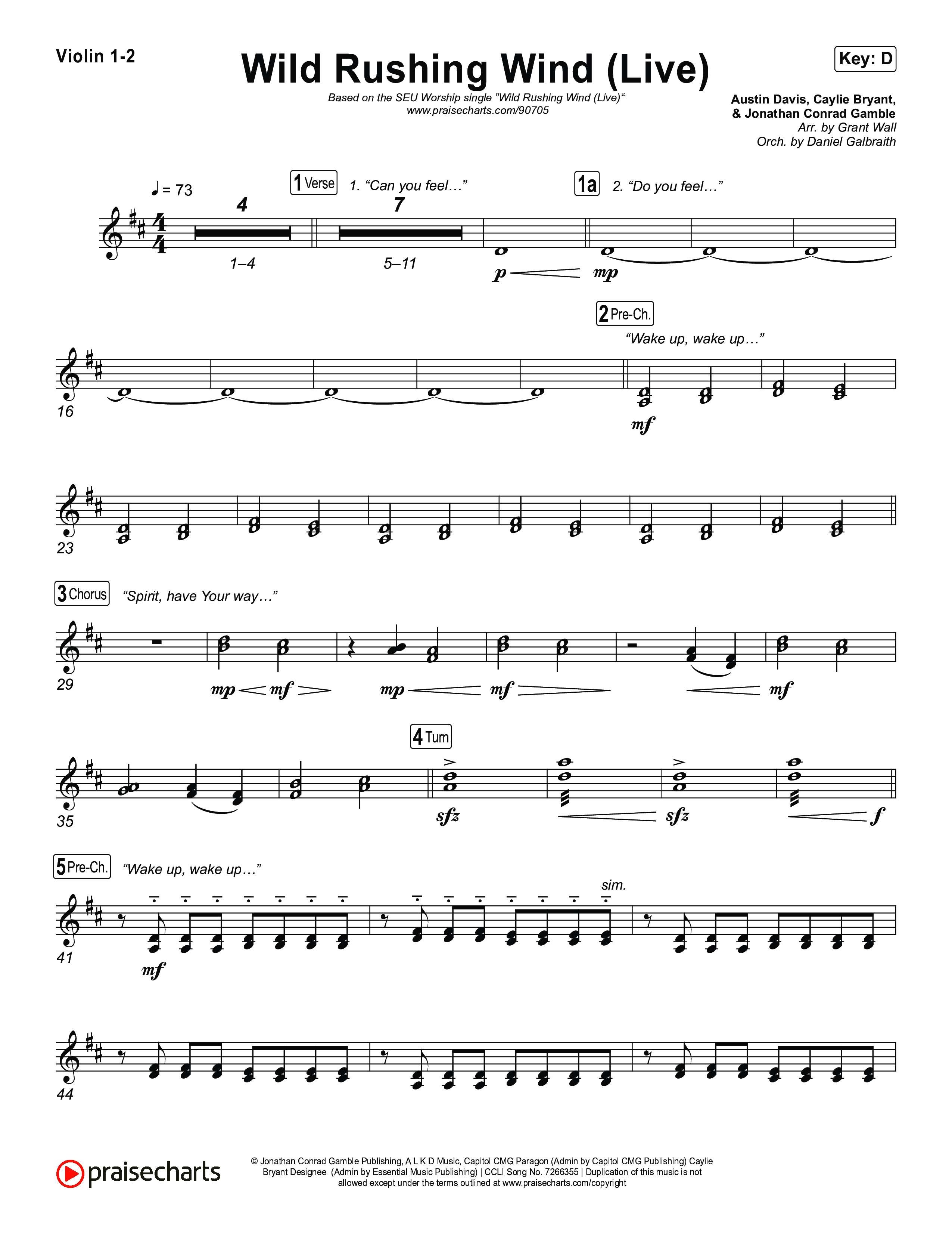 Wild Rushing Wind (Live) String Pack (SEU Worship)