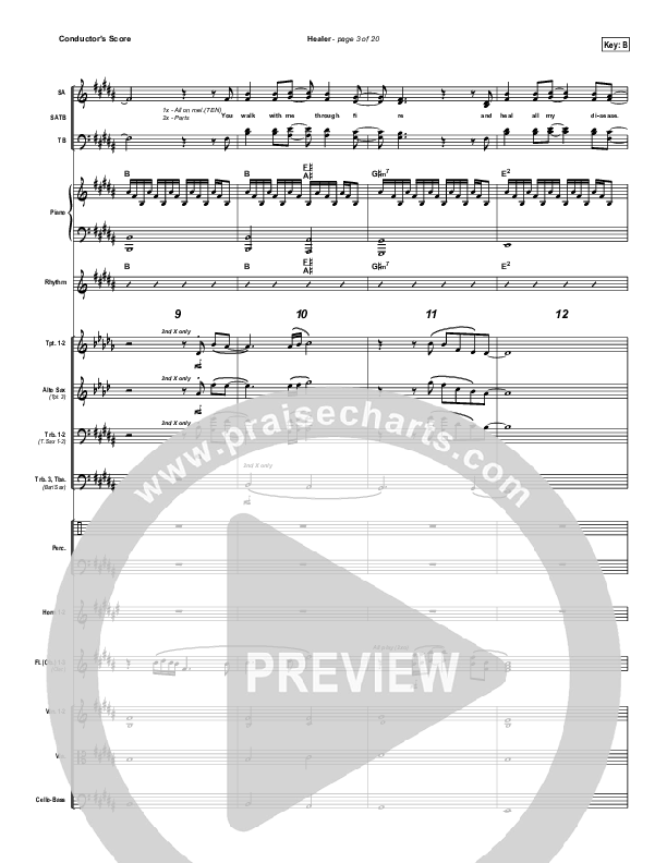 Healer Conductor's Score (Mike Guglielmucci)