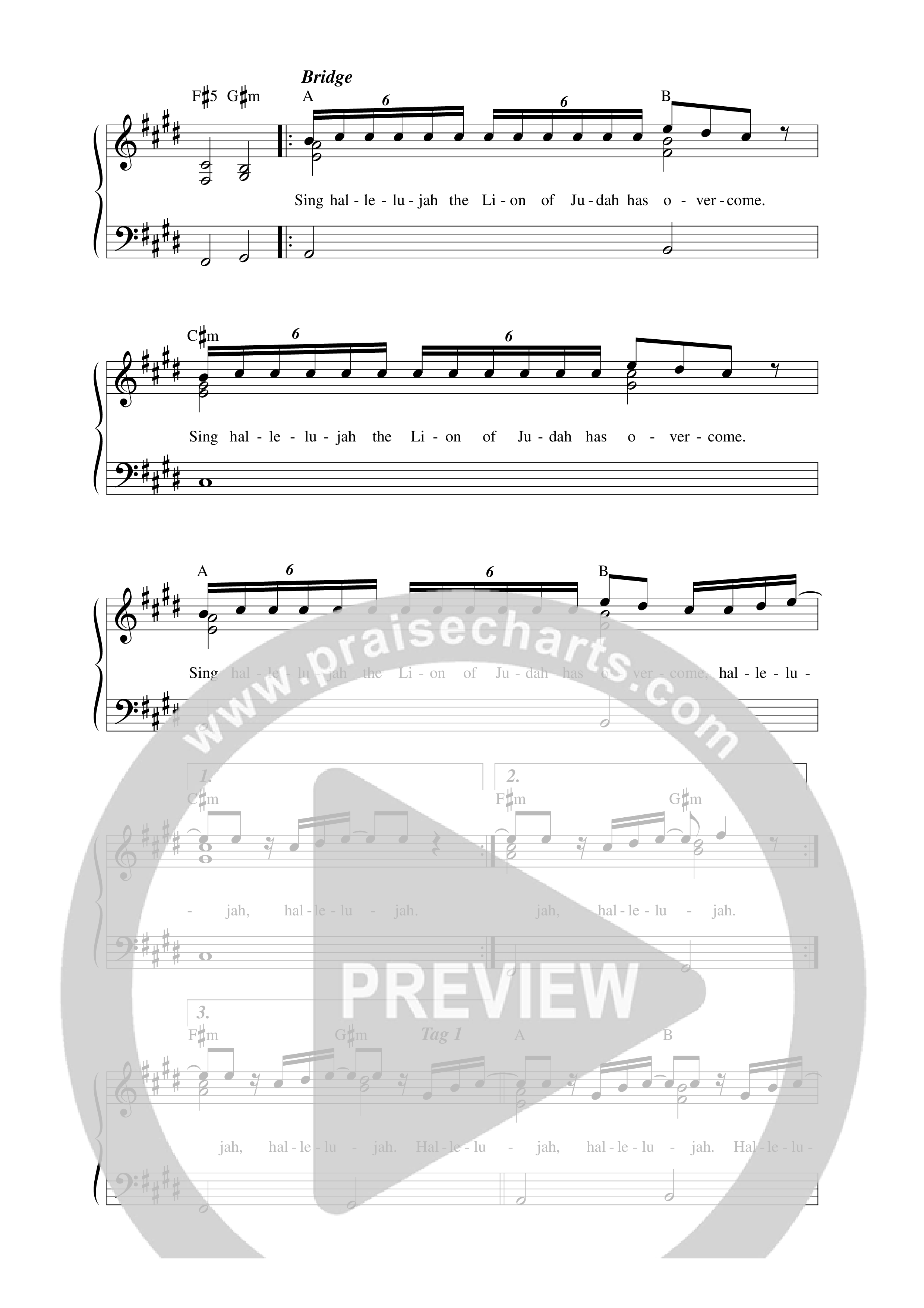 Marvelous (re:said) Lead Sheet Melody (Mitch Wong)