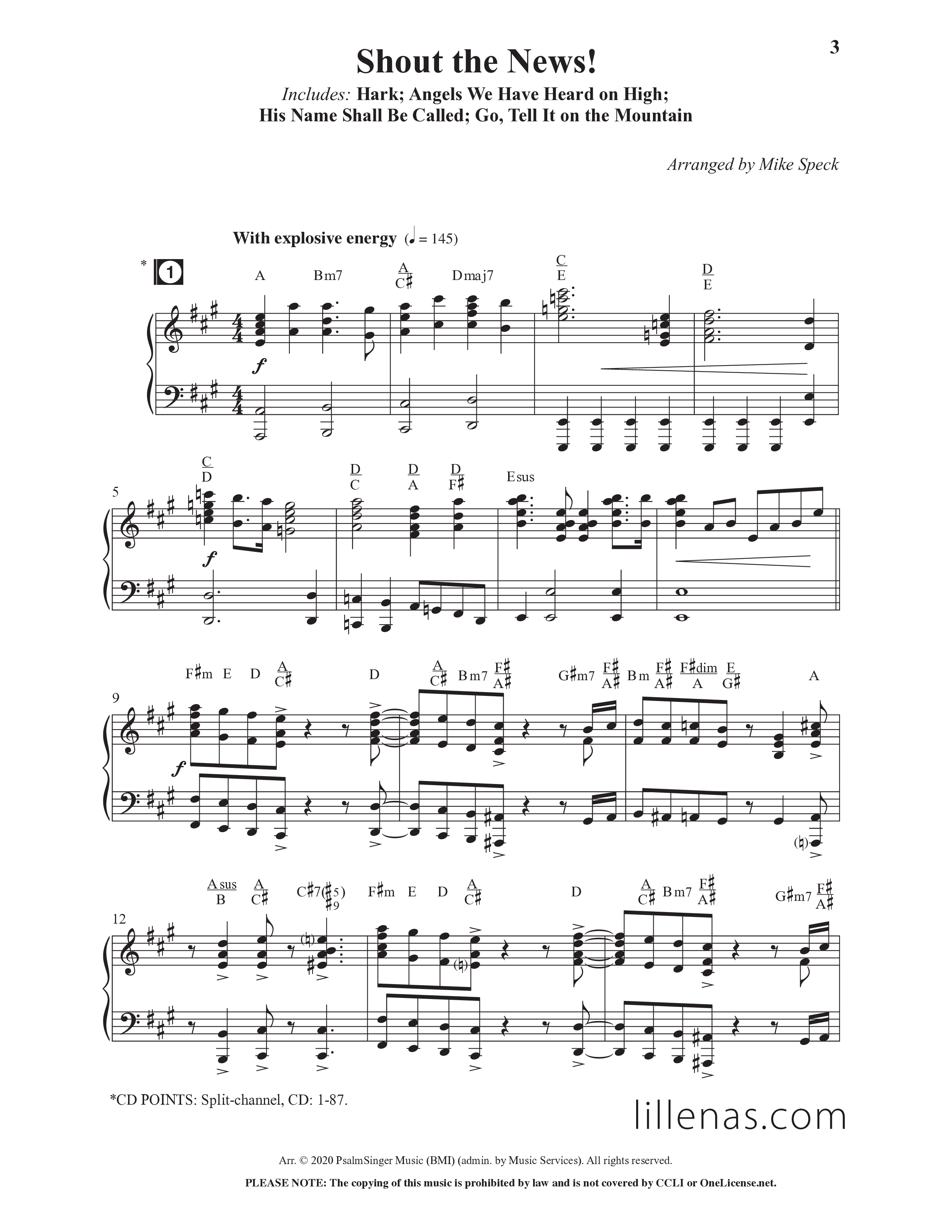 Christmas Changes Everything (13 Song Choral Collection) Choral Book (Lillenas Choral / Arr. Mike Speck)