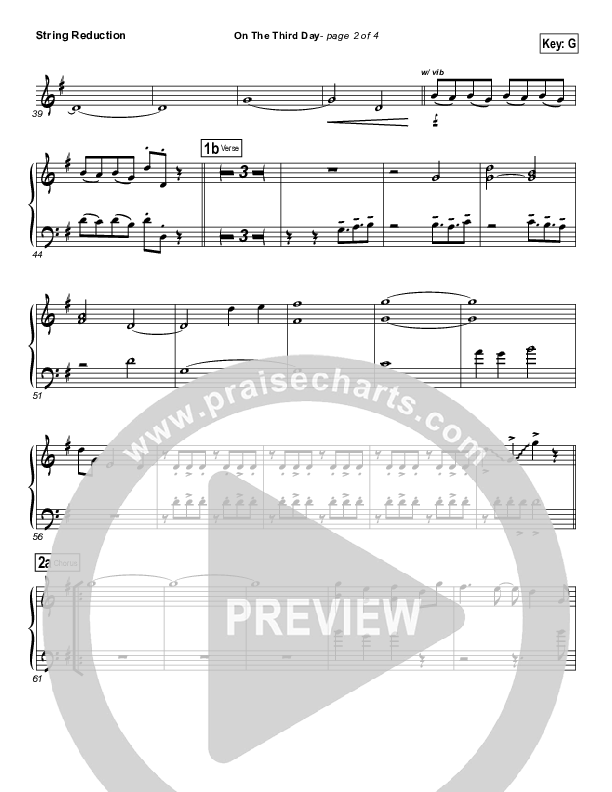 On The Third Day Synth Strings ()