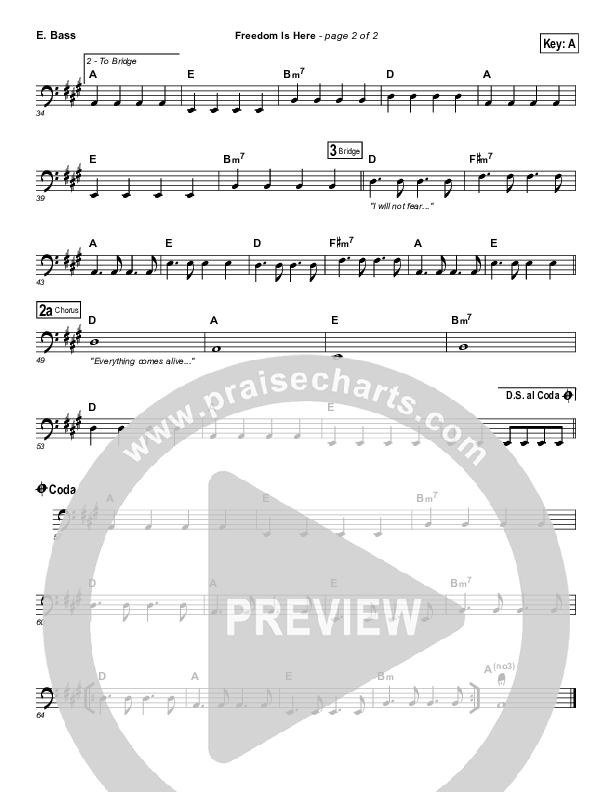 Freedom Is Here Bass Guitar (Hillsong UNITED)