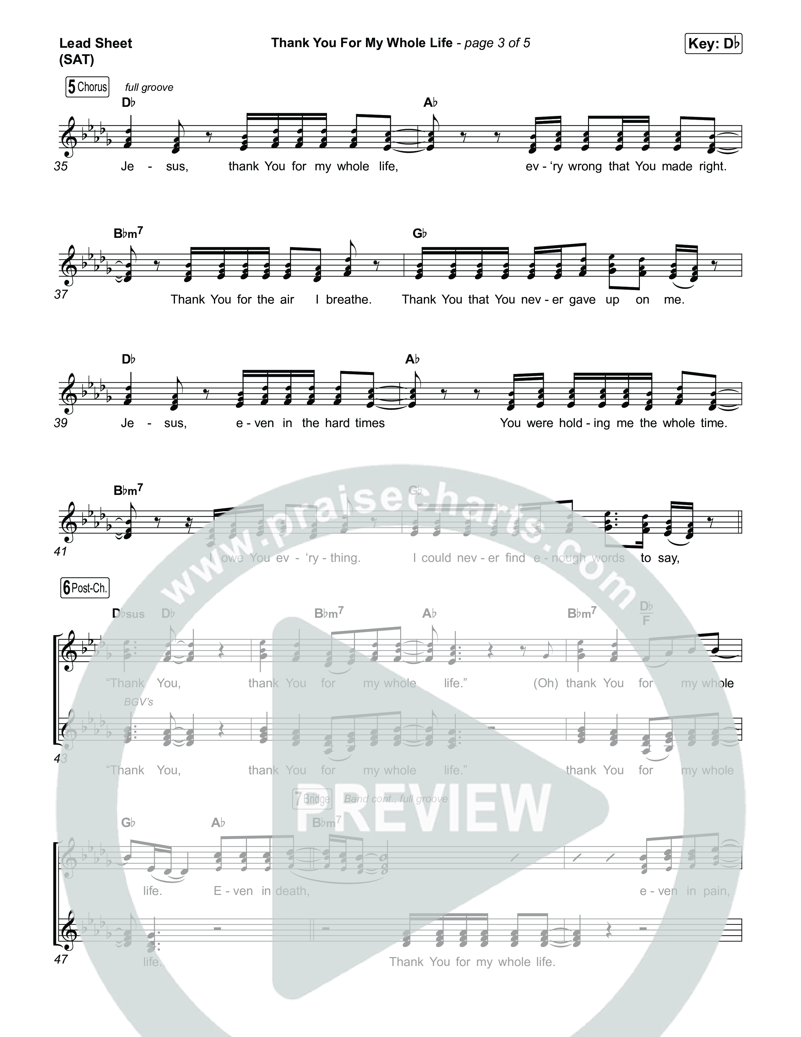Thank You For My Whole Life Lead Sheet (SAT) (CAIN)