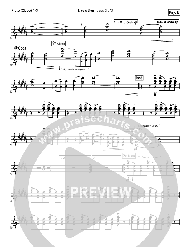 Like A Lion Wind Pack (David Crowder / Passion)