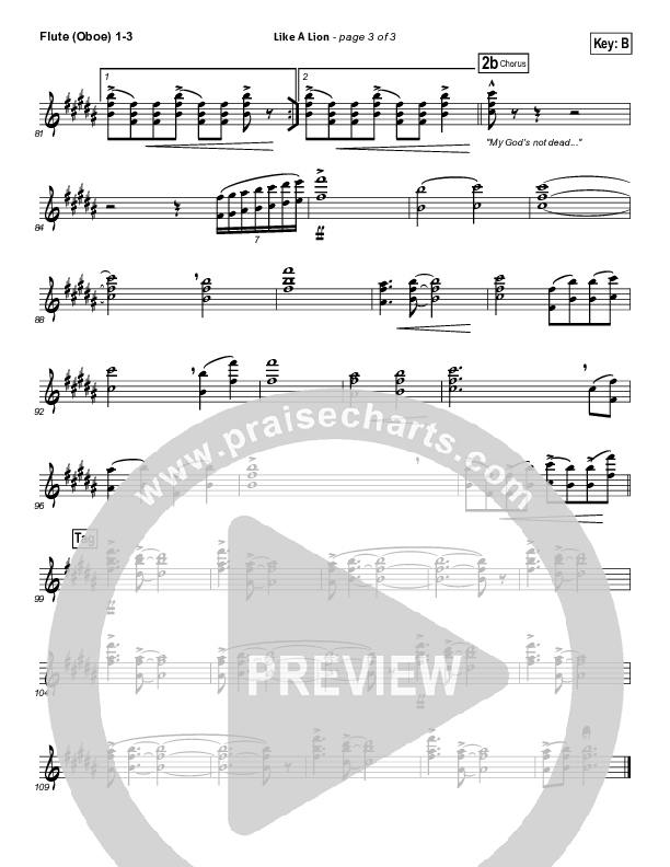 Like A Lion Wind Pack (David Crowder / Passion)