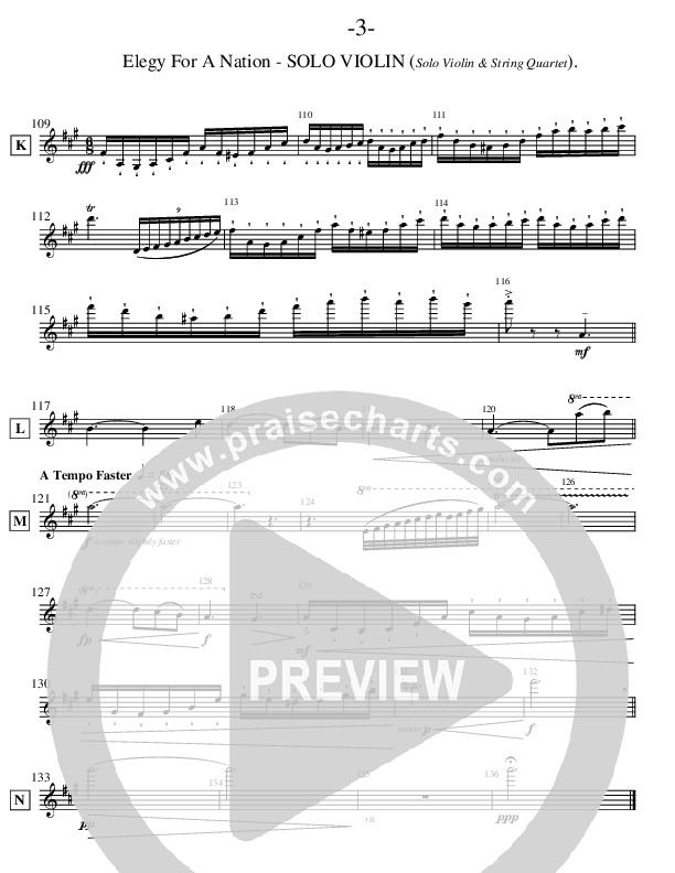 Elegy For A Nation (Instrumental) Violins (Ric Flauding)